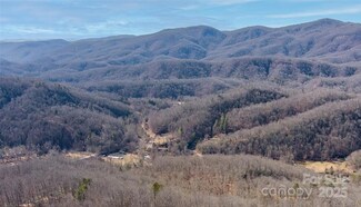 35 Lower Sand Branch Rd, Black Mountain, NC 28711