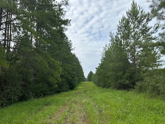 Sunny Ln, Lucedale, MS 39452