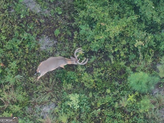 0 Laurel Branch Rd Unit 10587149, McIntyre, GA 31054