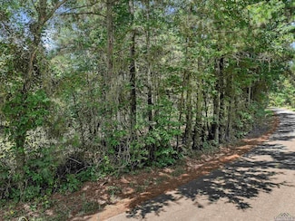 TBD County Road 1115, Kilgore, TX 75662