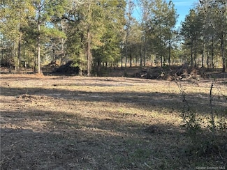0 Conway Rosteet Rd Tract 1 Unit Tract 1, Ragley, LA 70657