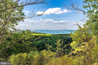 01 Cubbage Hollow Rd, Stanley, VA 22851