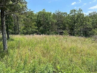 Lot 12 Tribute Falls Ct, Roaring River Township, MO 65625
