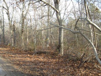 53 Elias Ln, West Tisbury, MA 02568