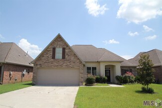41047 Lakeway Cove Ave, Gonzales, LA 70737