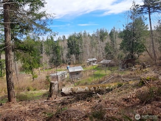 999 Carl Johnson Rd, Quilcene, WA 98376