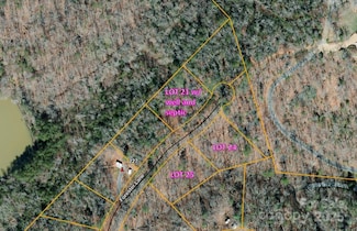 000 Forester Ln Unit 21, 24, & 25, Mill Spring, NC 28756