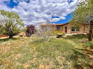 26689 Cedar Mesa Rd, Cedaredge, CO 81413