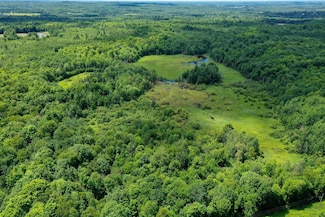 +/-40 Acres Hills Ln, Westboro, WI 54490