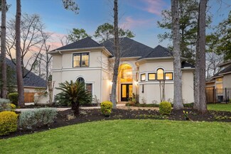 22 Snow Pond Place, Spring, TX 77382