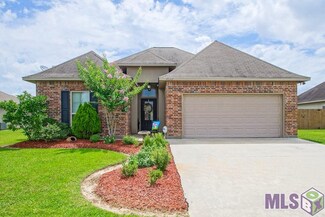 28312 Lake Salvador Dr, Livingston, LA 70754