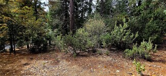 308 Pioneer Rd, Lake Arrowhead, CA 92352