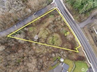 98 5th Ave, Milton, WA 98354