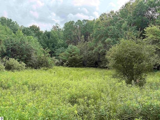 11546 E 3 1 2 Rd, Luther, MI 49656