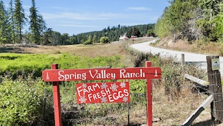 131 Country Ln, Newport, WA 99156