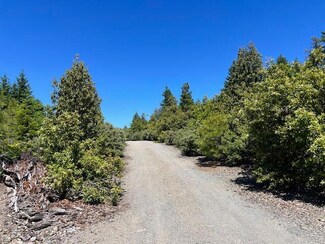 203 Acres Three Creeks Rd, Berry Summit, CA 95525