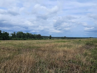 0 County Road 217, Clopton, AL 36317