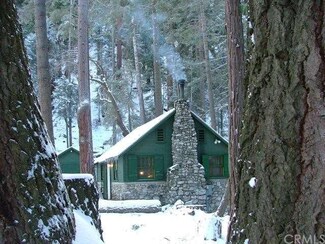 9720 Falls Rd, Forest Falls, CA 92339