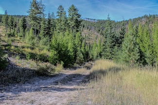 Nhn W Fork Combest Creek Rd, Plains, MT 59859