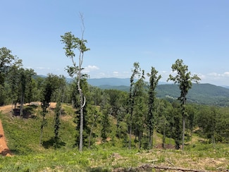 293 S Carter Cove Rd, Warne, NC 28909