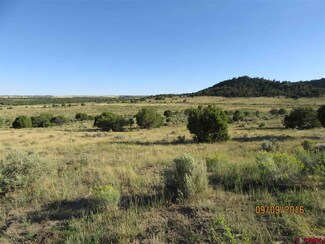 0 Road V 5 Unit 748345, Dolores, CO 81323
