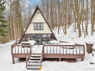 7455 Meyer Hill Rd, East Otto, NY 14729