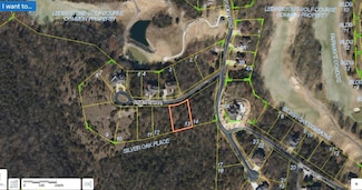 Lot 13 Silver Oak Place, Ruth C Township, MO 65737