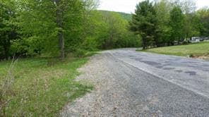 0 Hessinger and Lare Rd, Youngsville, NY 12791