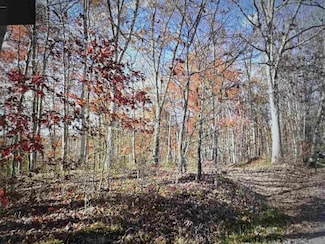 0 Pole Cat Rd Unit 182301, Camden-On-gauley, WV 26208