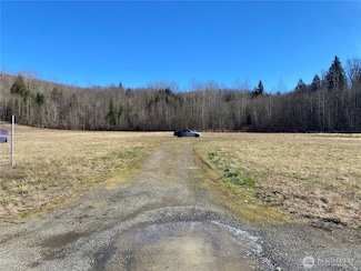 105 - 107 Hill Creek Rd, Toledo, WA 98591