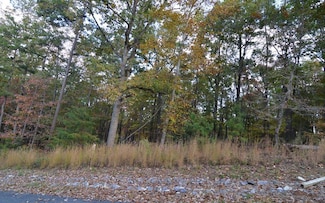 Lot 2 Serenity Ridge, Blairsville, GA 30512