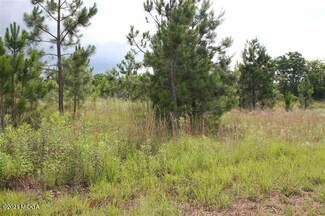 235 Highway 87 Bypass N, Cochran, GA 31014