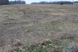 0 S Davis St, Forest, OH 45843