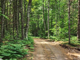 7930 S Vaughn Lake Rd, Curtis Township, MI 48737