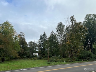 218 Park St, Shelton, WA 98584