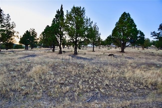 0 Lake Shastina Dr, Weed, CA 96094