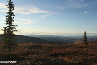 000 No Rd, Remote, AK 99000