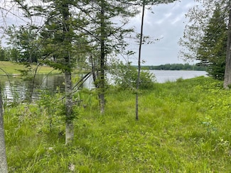 3472 High Point Dr, Wolverine, MI 49799
