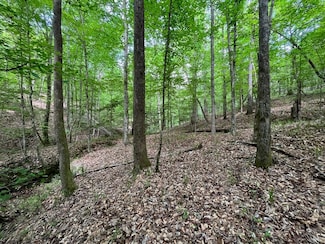 Hwy 106, Brantley, AL 36009