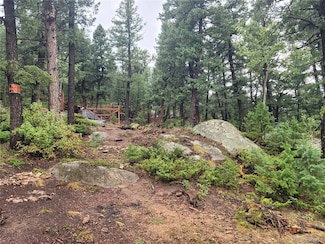 0 Fern Gulch Unit REC2650204, Evergreen, CO 80439