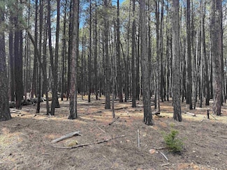 Lot 929 Alamosa Terrace, Angel Fire, NM 87710