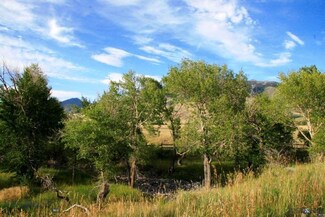 Parcel DA2 Bear Creek Loop Rd, Cameron, MT 59720