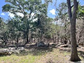 1656 Cypress Pass Rd, Spring Branch, TX 78070