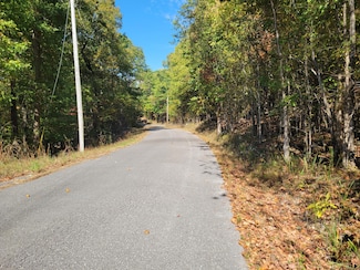 12 Raulstontown Rd, South Pittsburg, TN 37380