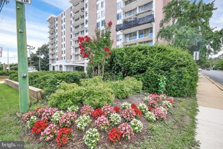 6210 Park Heights Ave Unit 200, Baltimore, MD 21215