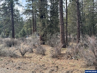 TL 10 Bufflehead Dr, Bonanza, OR 97623