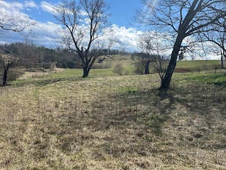 TBD Cedar Creek Rd, Meadowview, VA 24361