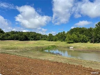18 Meditation Ct, Wentzville, MO 63385