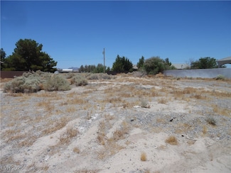 2410 Turtle St, Pahrump, NV 89048