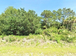 445 S Palomino St, Montura, FL 33440